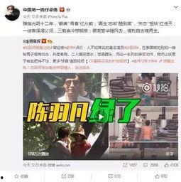 新乡出轨爆料事件最新,真相与争议交织的舆论漩涡
